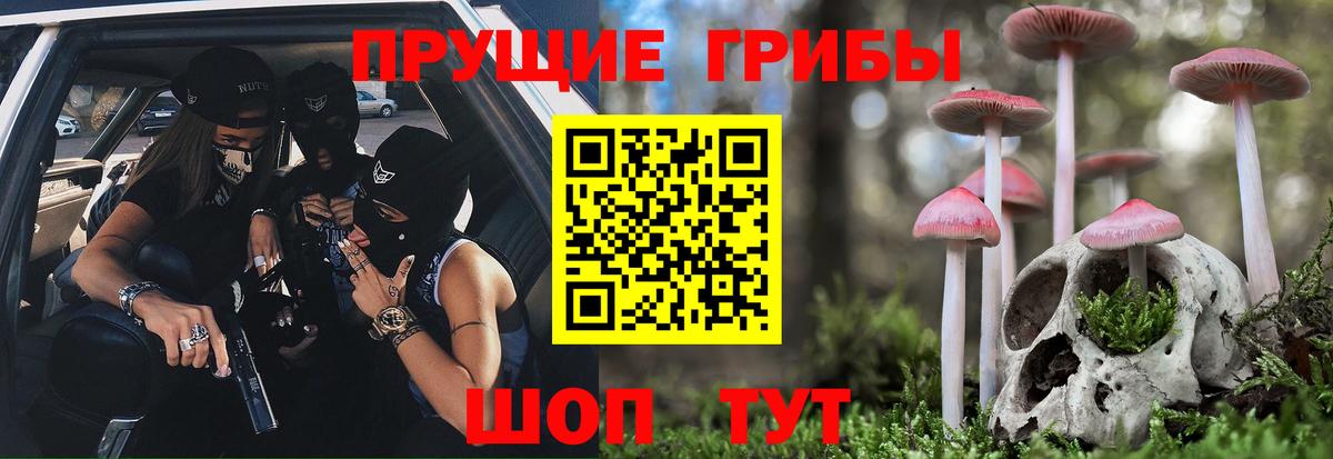 Галлюциногенные грибы Psilocybe  Псилоцибиновые грибы Psilocybe  Вход с VPN  Электрогорск 